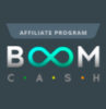 Обзор партнерки Boom Cash